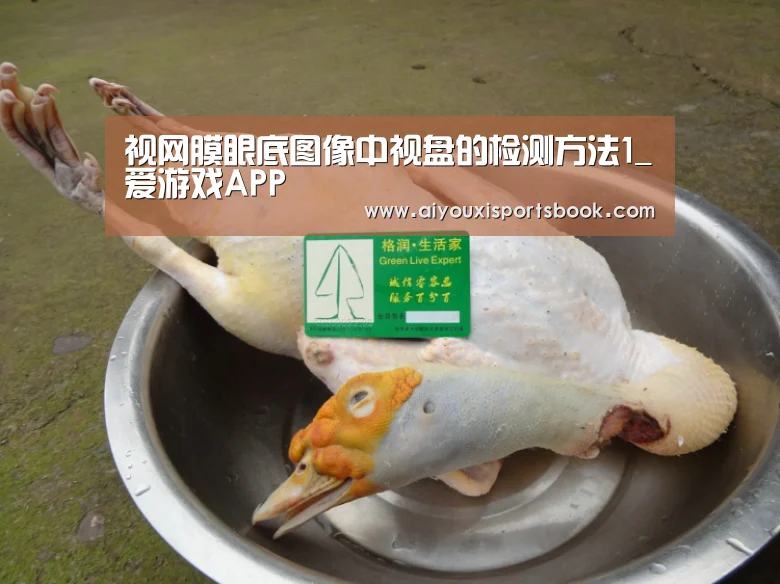 爱游戏电竞